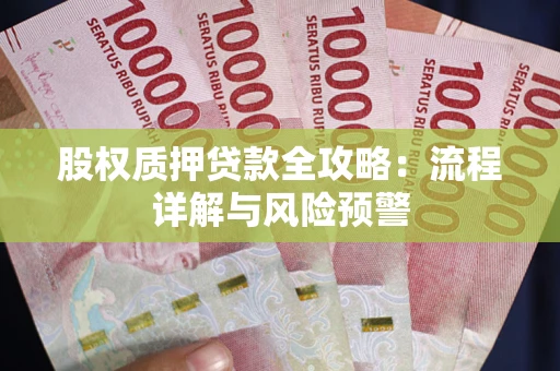 武汉股权质押贷款全攻略：流程详解与风险预警
