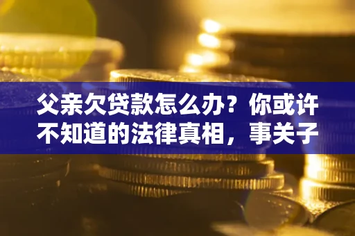武汉父亲欠贷款怎么办？你或许不知道的法律真相，事关子女未来