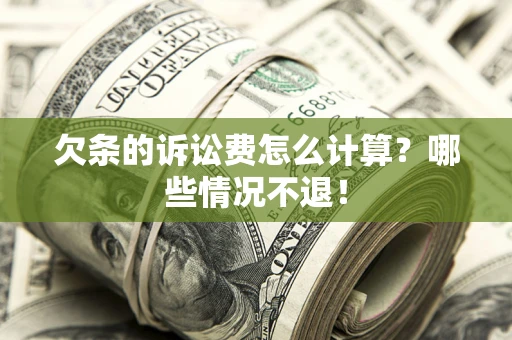 武汉欠条的诉讼费怎么计算？哪些情况不退！