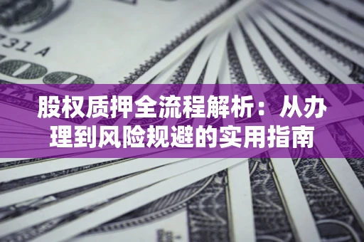 武汉股权质押全流程解析：从办理到风险规避的实用指南