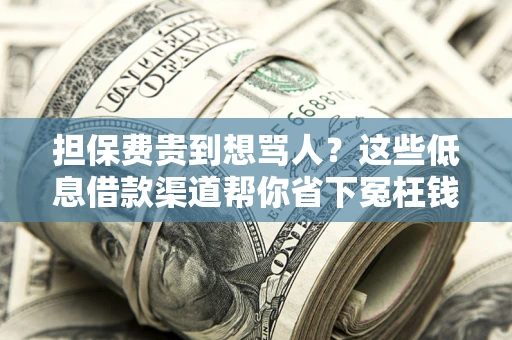 武汉担保费贵到想骂人？这些低息借款渠道帮你省下冤枉钱