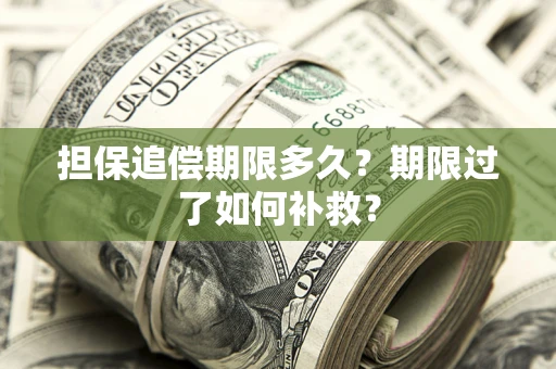 武汉担保追偿期限多久？期限过了如何补救？